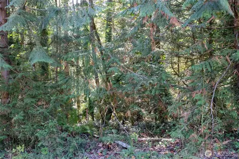 0 E Sprague Ave, Union, WA 98592 photo 6