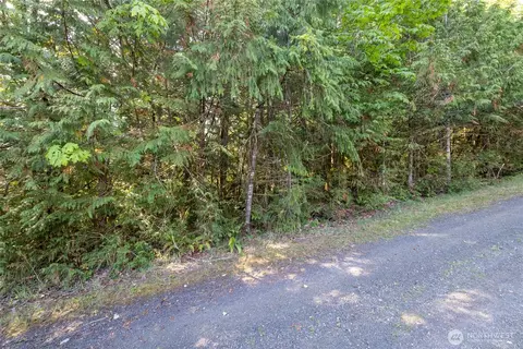 0 E Mason Ave, Union, WA 98592 photo 5