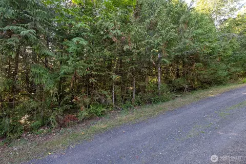0 E Mason Ave, Union, WA 98592 photo 10