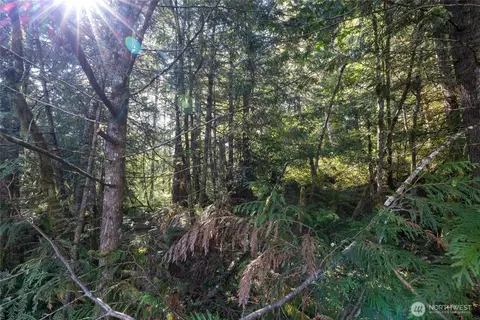 0 E Mason Ave, Union, WA 98592 photo 12