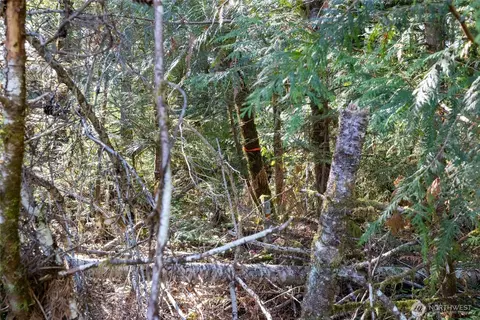 0 E Mason Ave, Union, WA 98592 photo 9