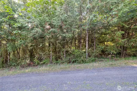 0 E Mason Ave, Union, WA 98592 photo 11