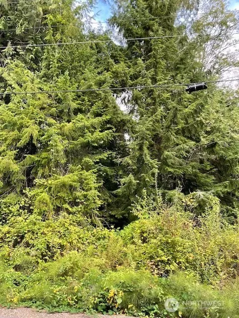 0 SE Spring Creek Rd, Port Orchard, WA 98367