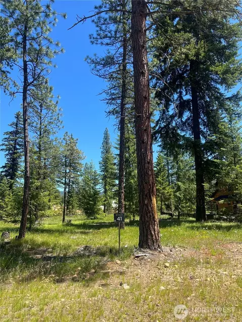 41 Domerie Park Loop, Cle Elum, WA 98922