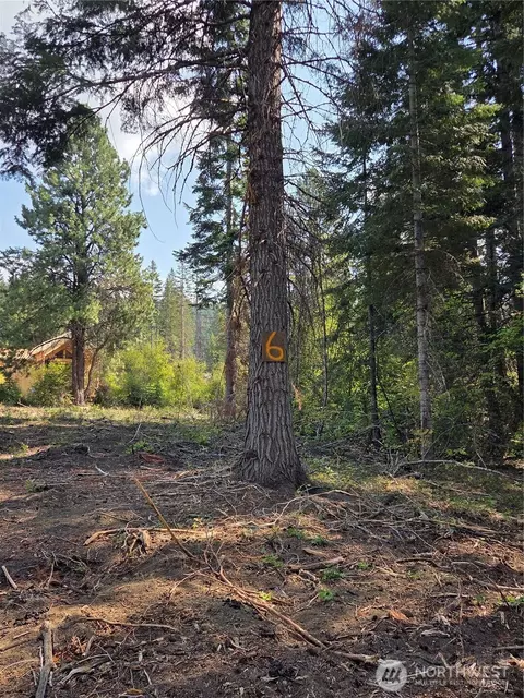 6 Double O Rd, Ronald, WA 98940