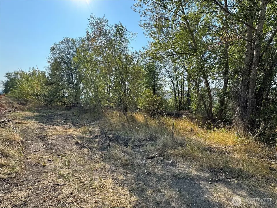  0 Tbd Highway 97, Tonasket, WA 98855 photo 12