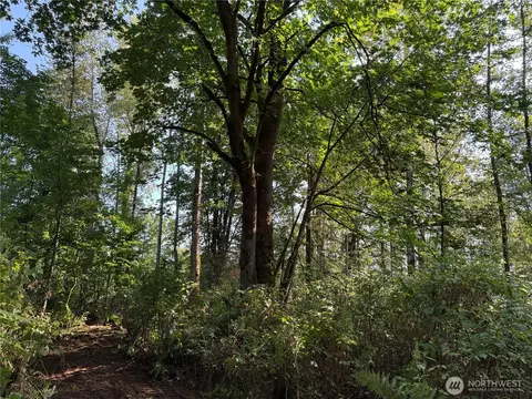268 SE Nn Se 409th St, Enumclaw, WA 98022 photo 12