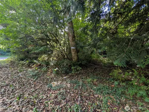 41664 N Shore Ln, Concrete, WA 98237