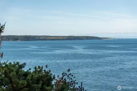View/Area - 412 Buck Loop Rd, Sequim, WA 98382 photo 4 of 5