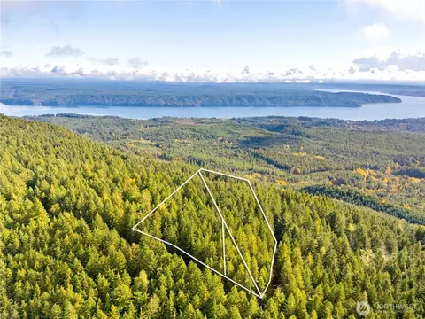 1350 N Hilltop Loop Rd, Hoodsport, WA 98548