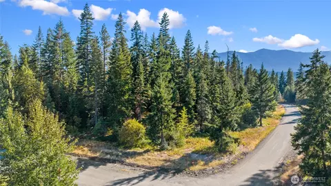 1000 Rr Heights Dr, Roslyn, WA 98941
