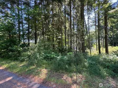 0 191st Ave SW, Lakebay, WA 98349