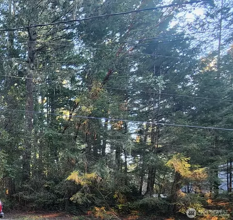 9309 114th Ave Ct, Anderson Island, WA 98303