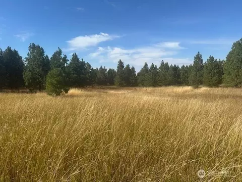 0 Melcum Grade Rd, Dayton, WA 99328