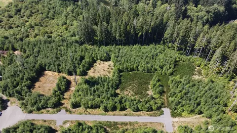 9999 King Johns-lot 2 Raven Sp Way, Forks, WA 98331