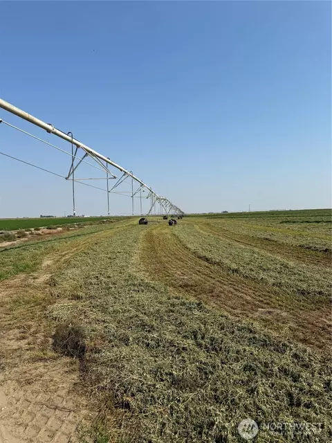 9002 Omer Rd, Othello, WA 99344 photo 19