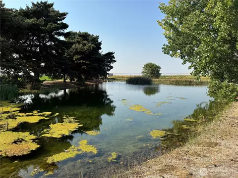 9002 Omer Rd, Othello, WA 99344 photo 33