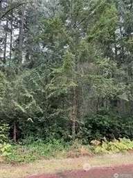 10508 Anchor Pl, Anderson Island, WA 98303