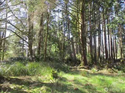 111 Olympic View Ave NE, Ocean Shores, WA 98569