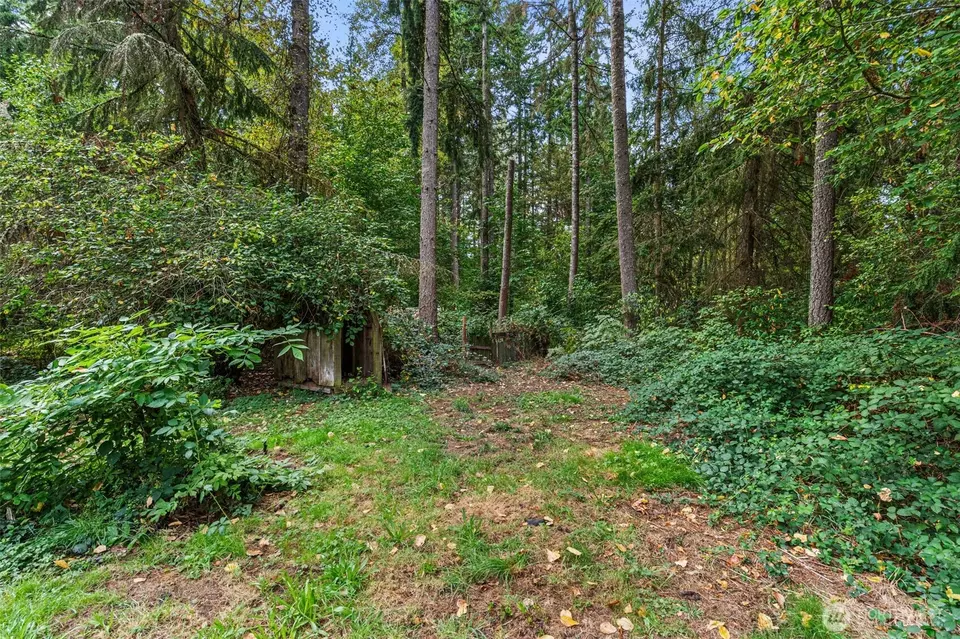  36108 49th Ave, Eatonville, WA 98328 photo 32