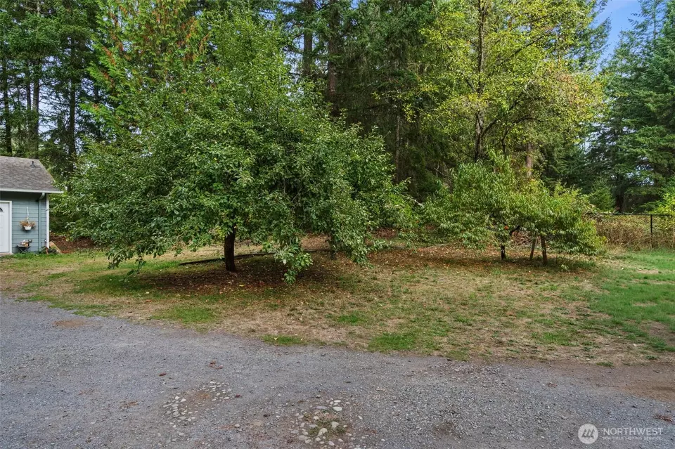  36108 49th Ave, Eatonville, WA 98328 photo 33