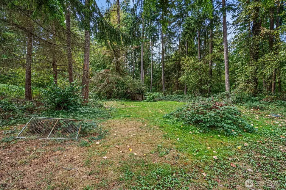  36108 49th Ave, Eatonville, WA 98328 photo 23