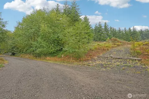374 Bellwood Dr, Castle Rock, WA 98611
