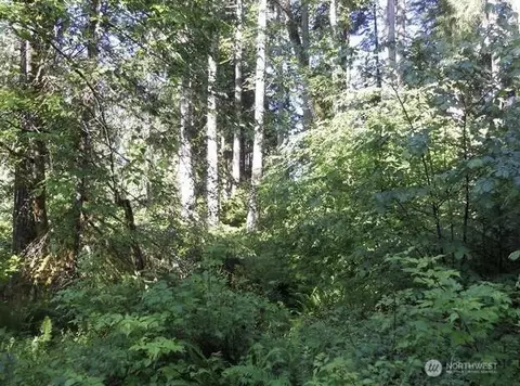 10608 Edgewood Dr, Anderson Island, WA 98303
