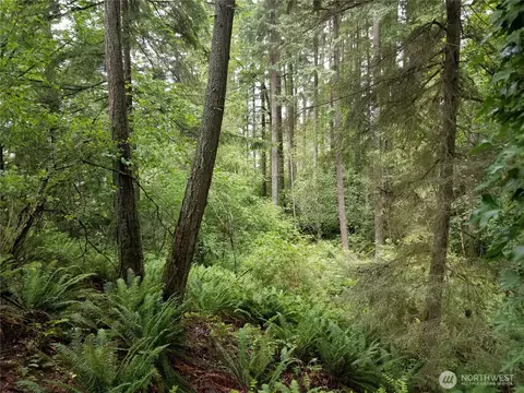 1500 E Nn E Lake Sammamish Pkwy SE, Sammamish, WA 98075