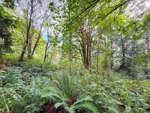 120 184th Avenue Ct NW, Lakebay, WA 98349