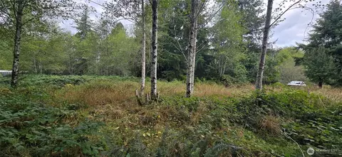 1351 Satsop Rd W, Montesano, WA 98563