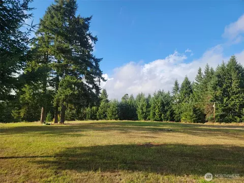 0 NE 1st St, Winlock, WA 98596 photo 4