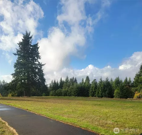 0 NE 1st St, Winlock, WA 98596 photo 2