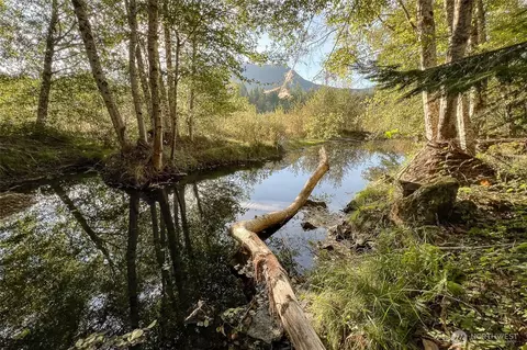 0 Rainbow Pl, White Pass, WA 98361
