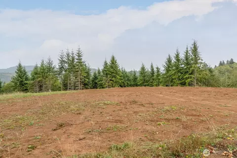 307 Greenwood Rd, Cathlamet, WA 98612