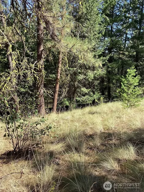 141 Lot Owl Rd, Tonasket, WA 98855