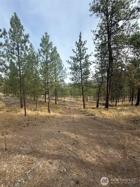 67 W Bannon Creek Rd, Tonasket, WA 98855