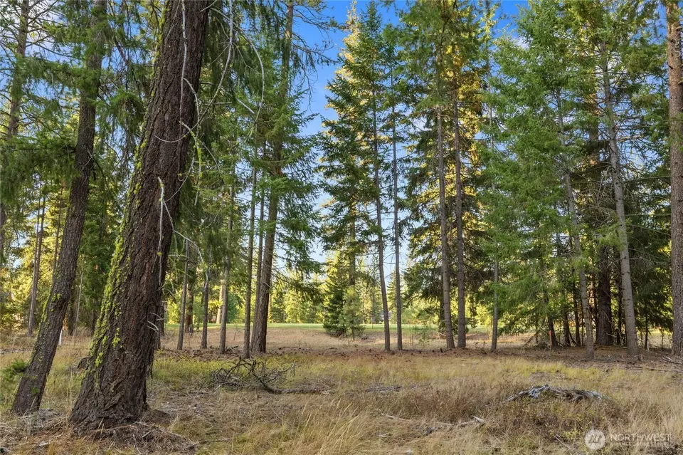  0 Domerie Park Loop, Cle Elum, WA 98922 photo 4
