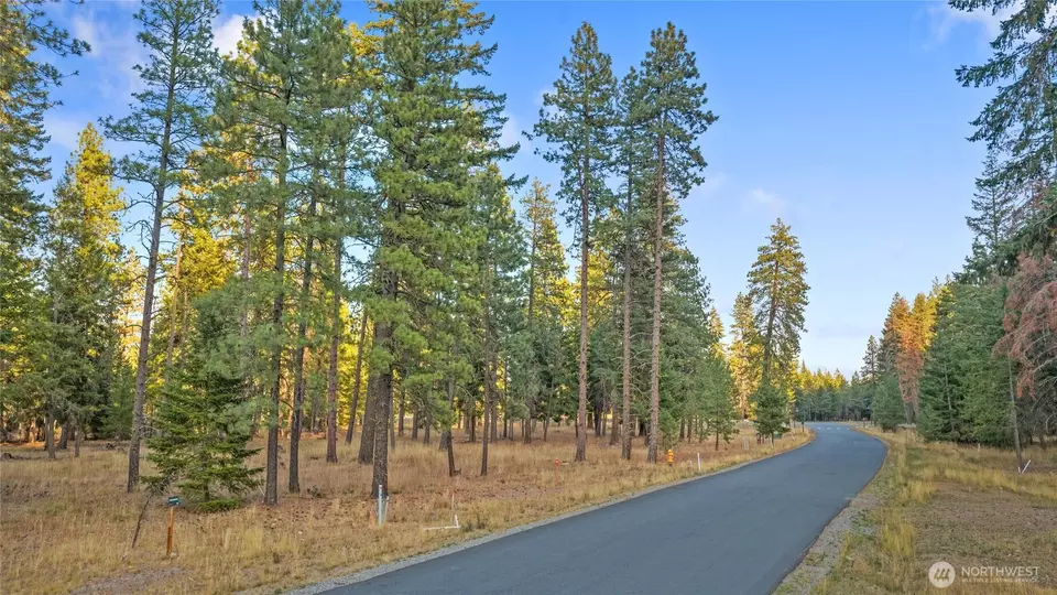  0 Domerie Park Loop, Cle Elum, WA 98922 photo 7