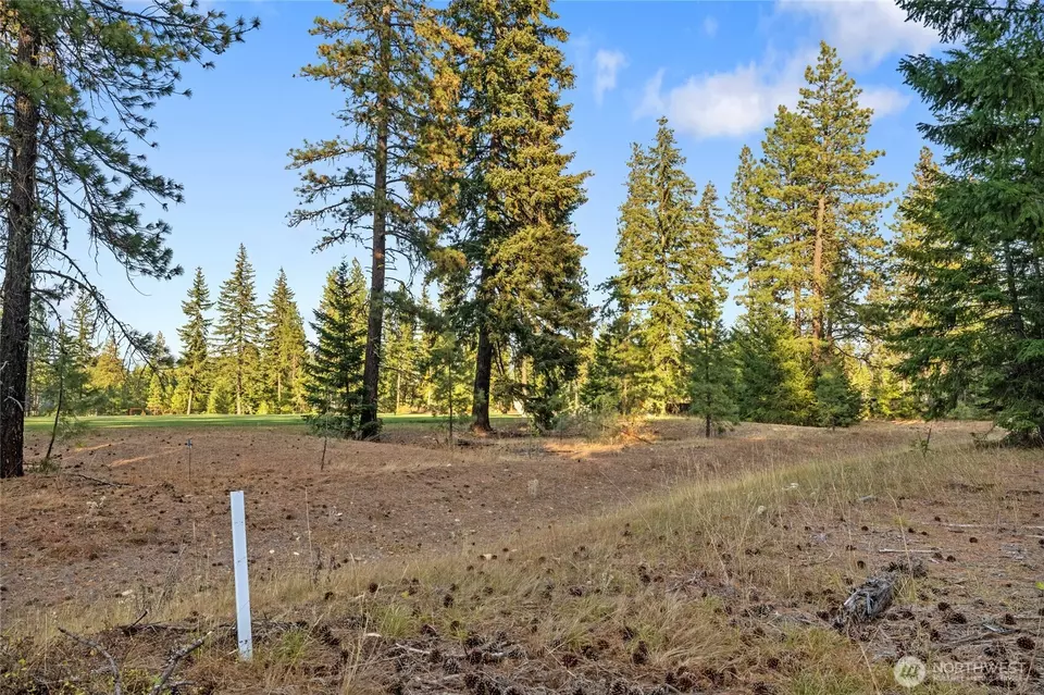  0 Domerie Park Loop, Cle Elum, WA 98922 photo 5