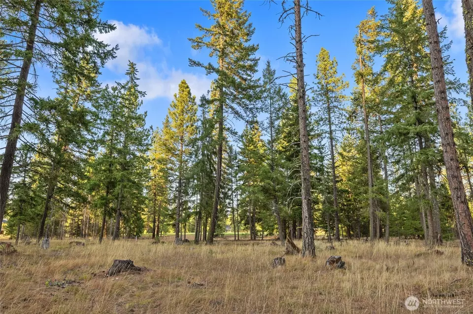  0 Domerie Park Loop, Cle Elum, WA 98922 photo 3