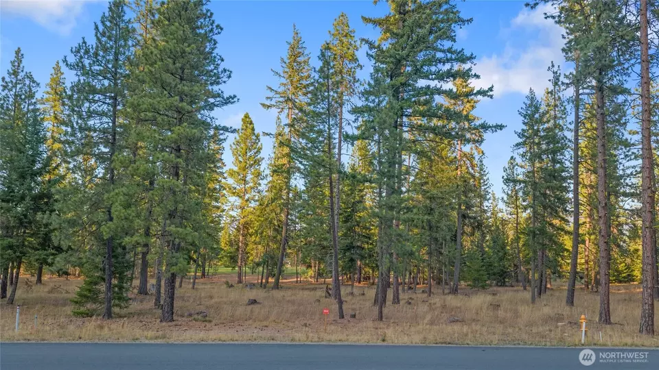  0 Domerie Park Loop, Cle Elum, WA 98922 photo 8