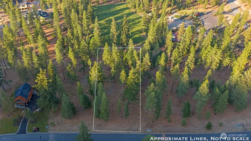  0 Domerie Park Loop, Cle Elum, WA 98922 photo 11