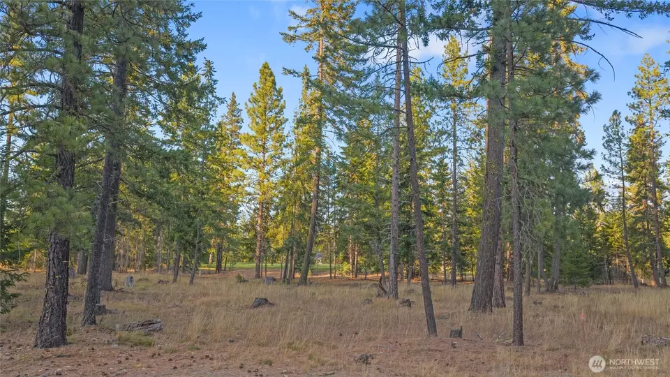  0 Domerie Park Loop, Cle Elum, WA 98922 photo 9
