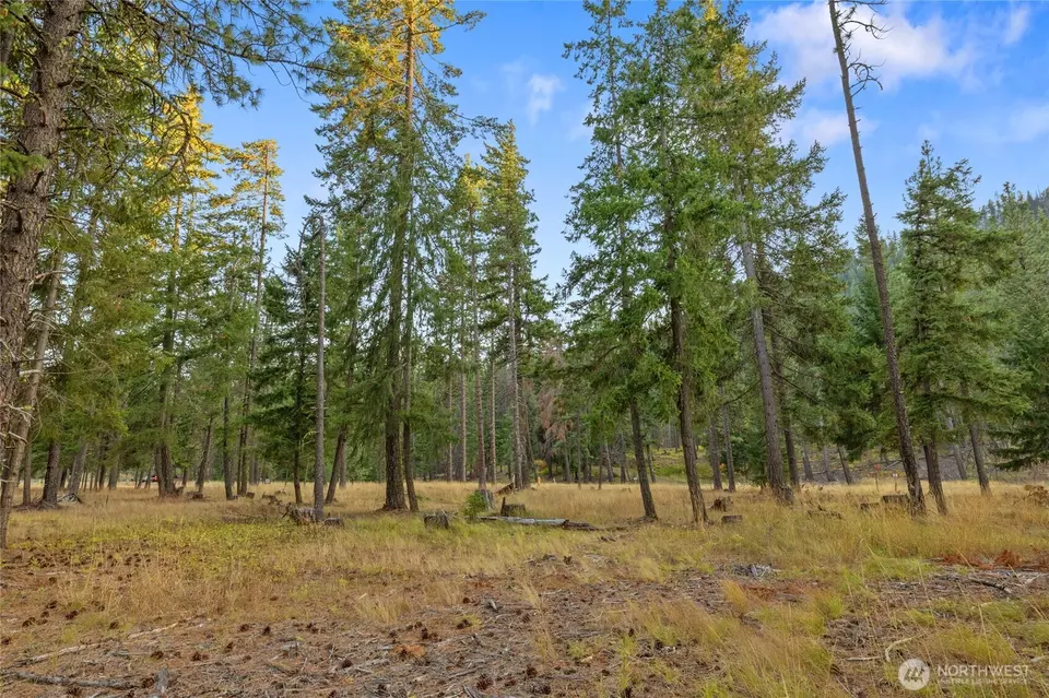 0 Domerie Park Loop, Cle Elum, WA 98922 photo 6
