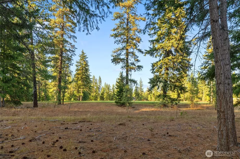  0 Domerie Park Loop, Cle Elum, WA 98922 photo 2
