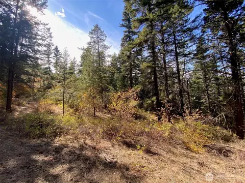 8888 Deer Creek Dr, Waterville, WA 98858