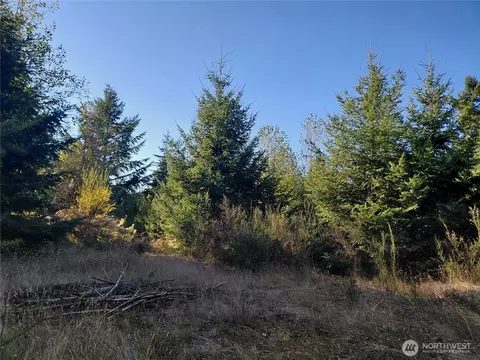 0 Lot 7 Buck Dr, Randle, WA 98377