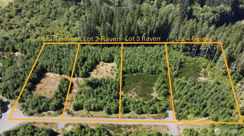 9999 King Johns-lot 3 Raven Way, Forks, WA 98331