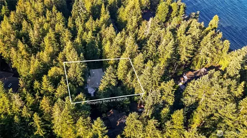343 Buck Loop Rd, Sequim, WA 98382 photo 37